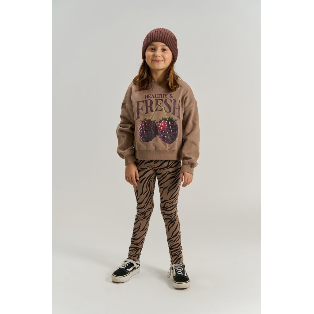 Sweatshirt, Taupe Gray
