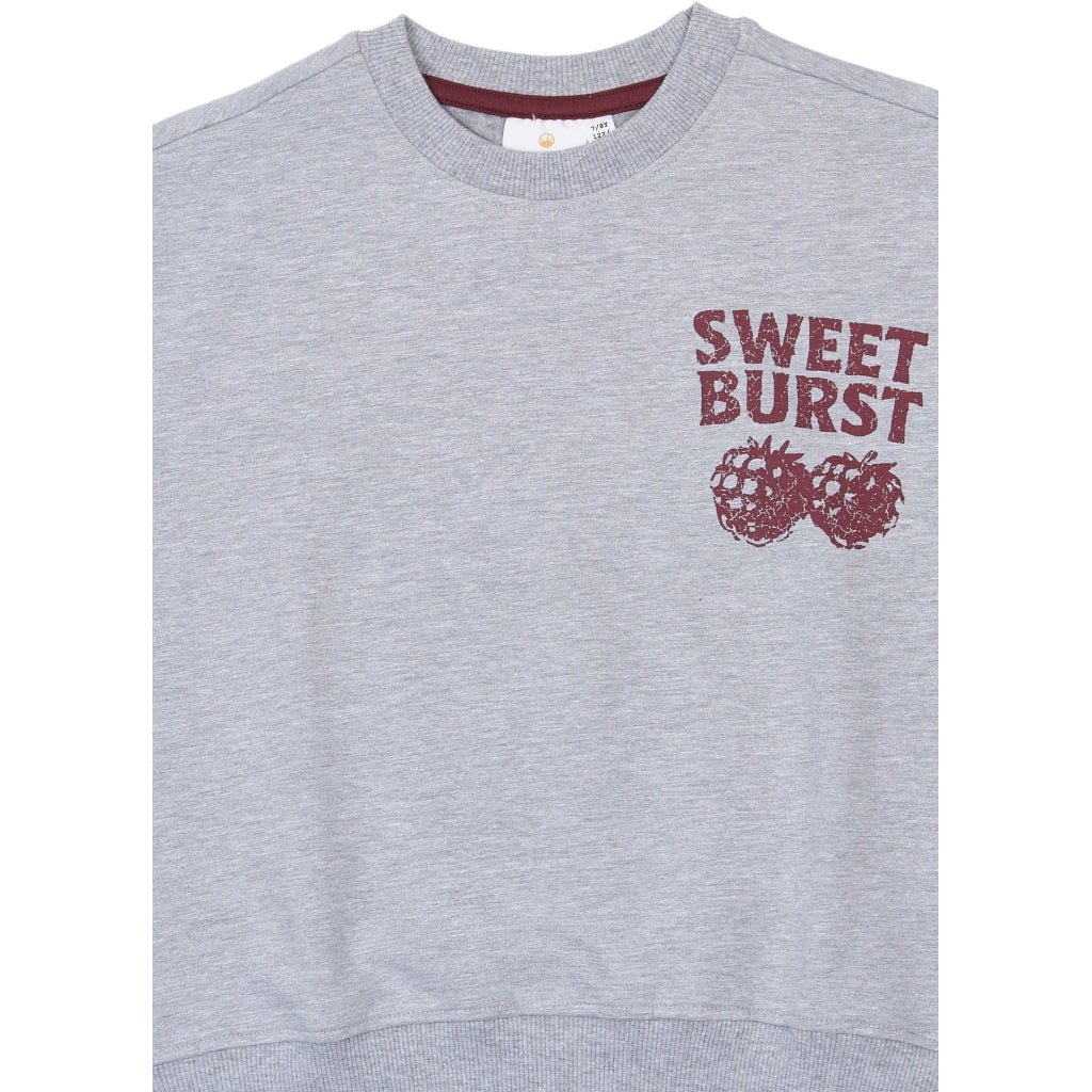 Sweatshirt, Light Grey Melange