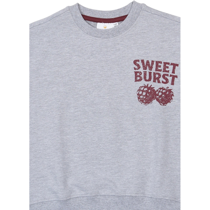 Sweatshirt, Light Grey Melange