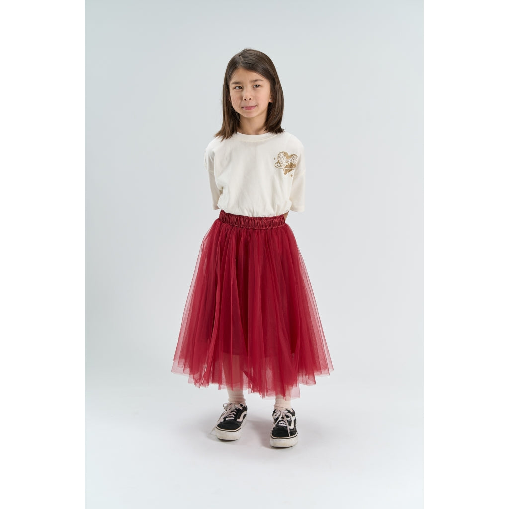 Peaven Mesh Skirt