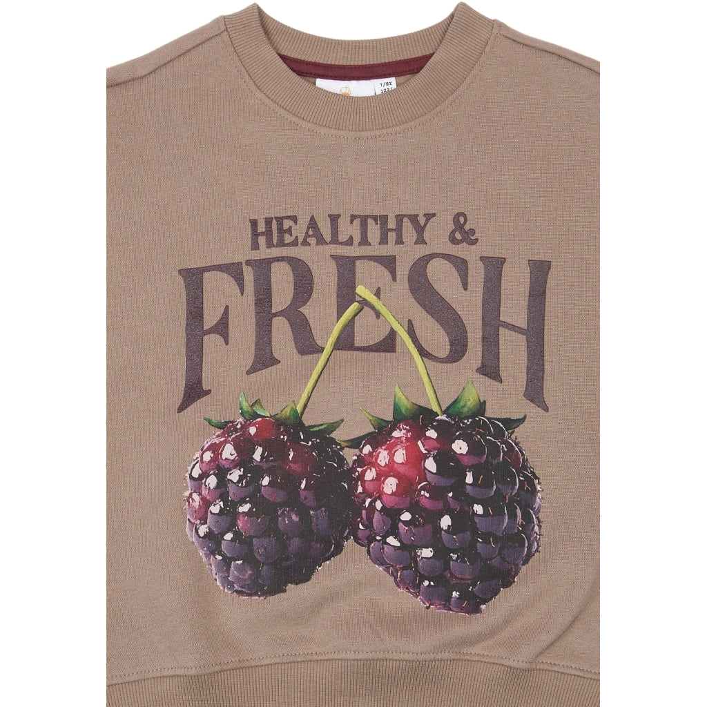 Sweatshirt, Taupe Gray