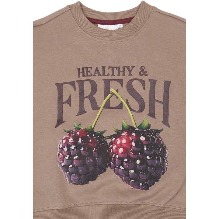 Sweatshirt, Taupe Gray
