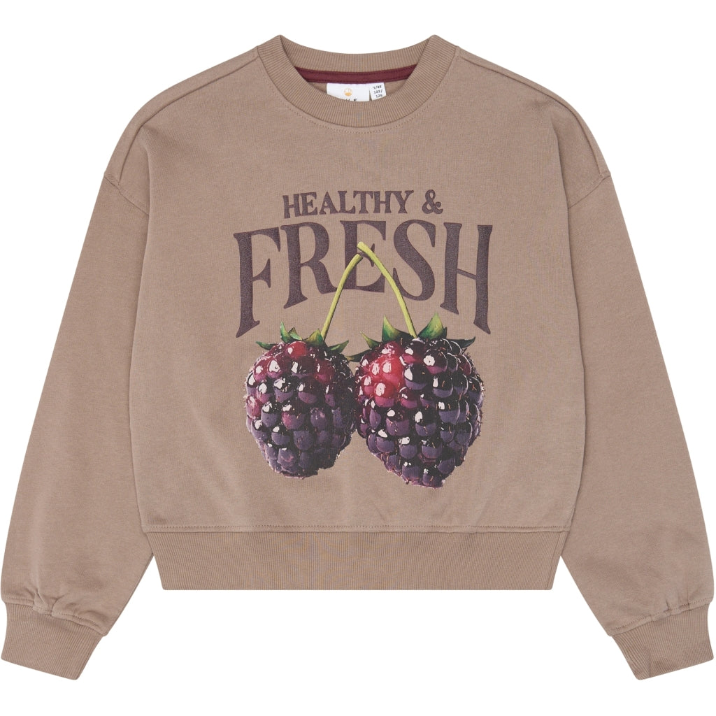 Sweatshirt, Taupe Gray