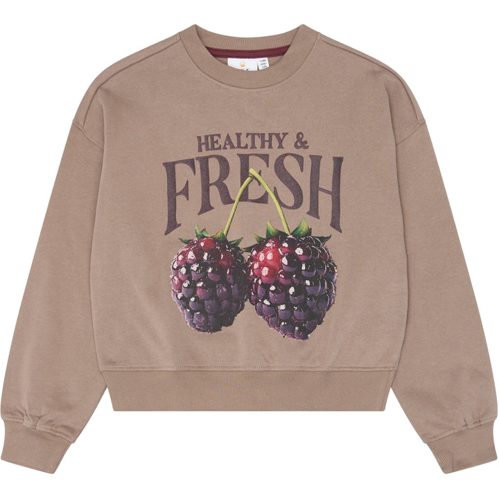Sweatshirt, Taupe Gray