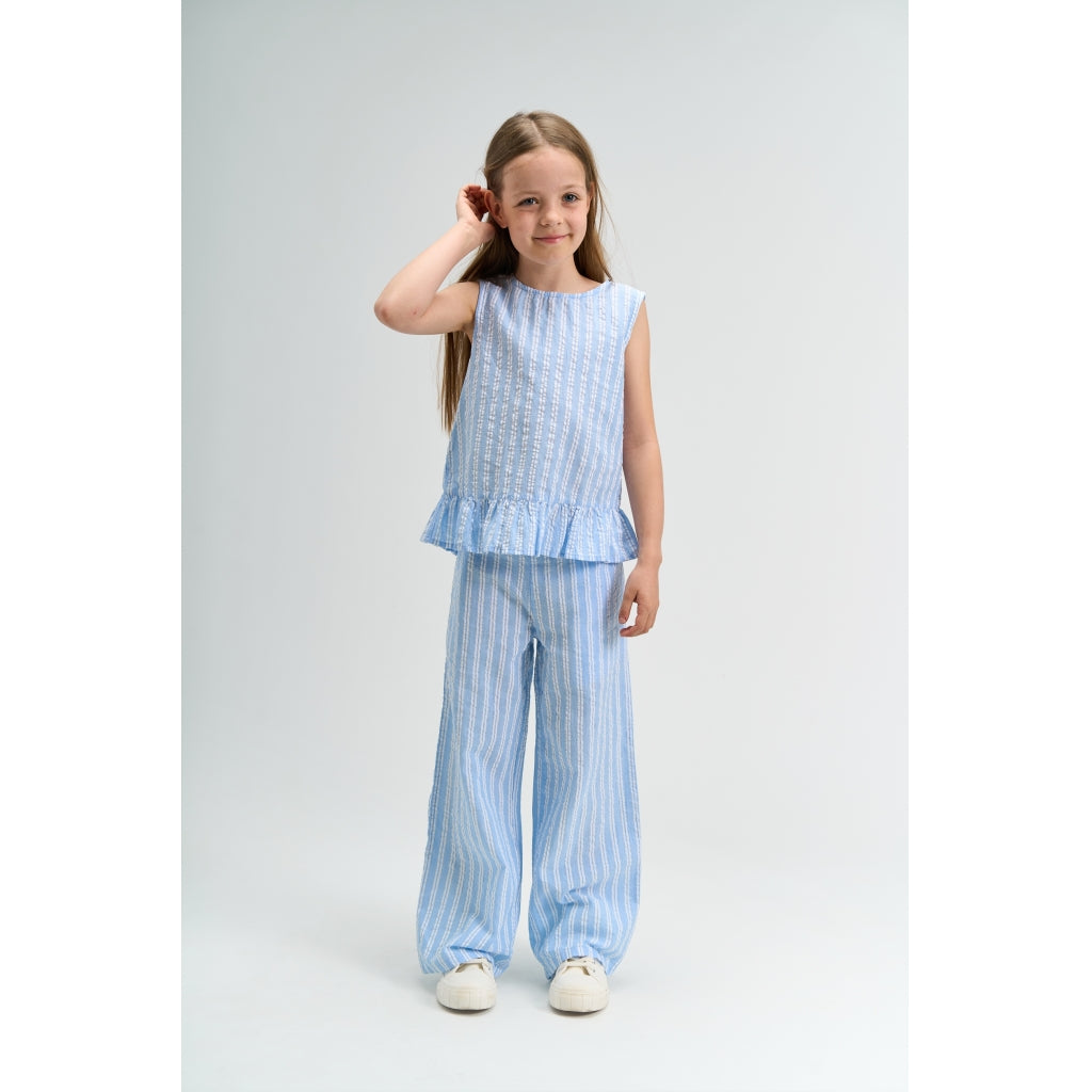 Shirley Wide Pants, Forever Blue Striped