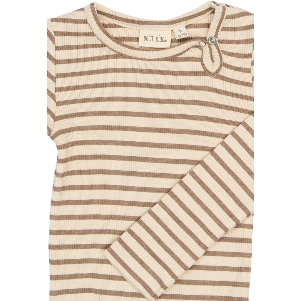 Body, Ginger Snap Striped