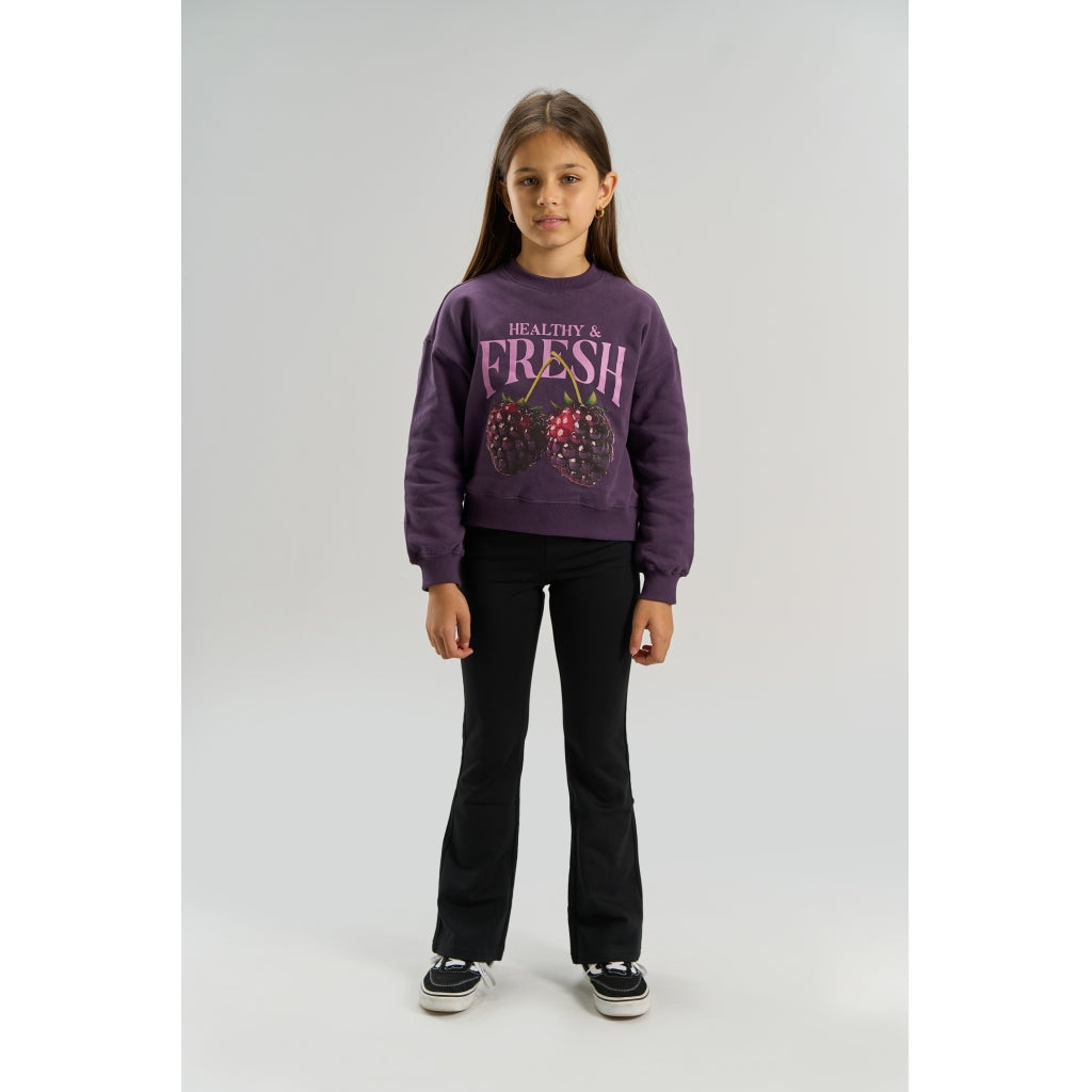 Sweatshirt, Sweet Grape