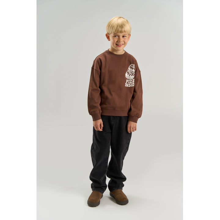 Sweatshirt, Chestnut