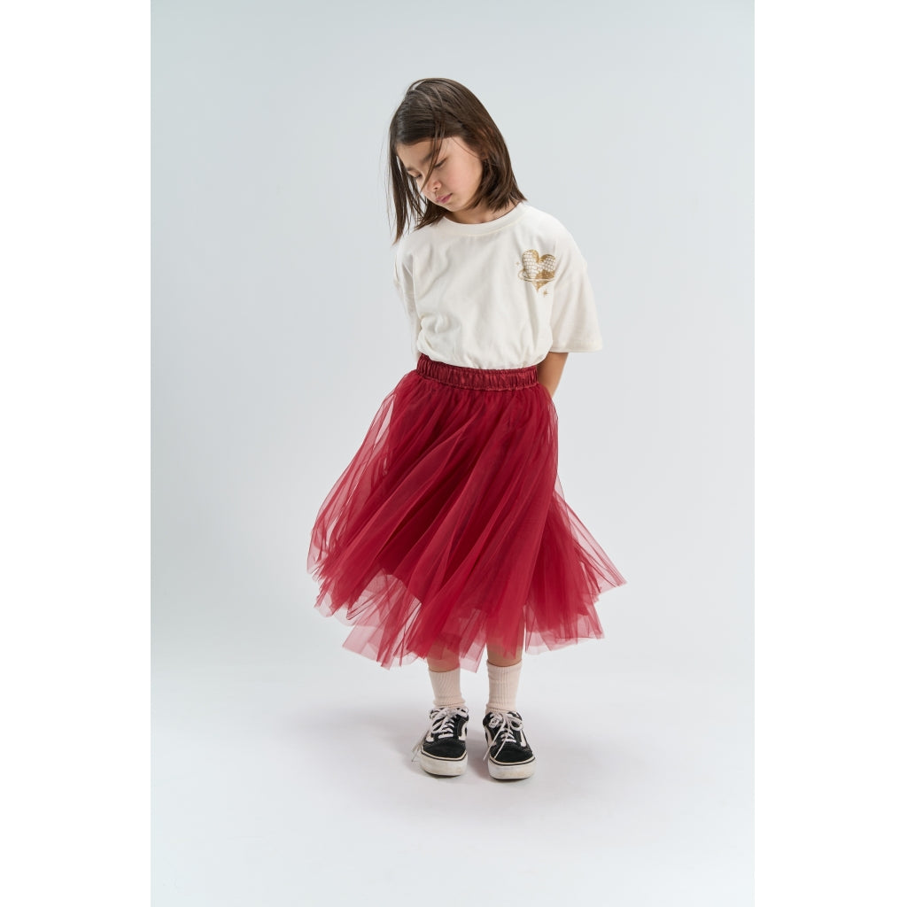 Peaven Mesh Skirt