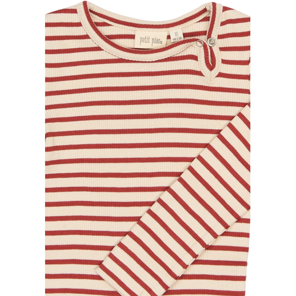 Body, Cinnabar Striped
