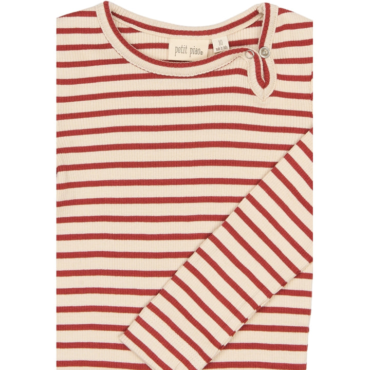 Body, Cinnabar Striped
