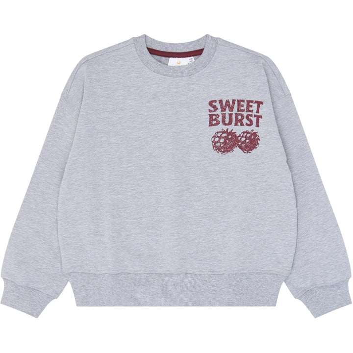 Sweatshirt, Light Grey Melange