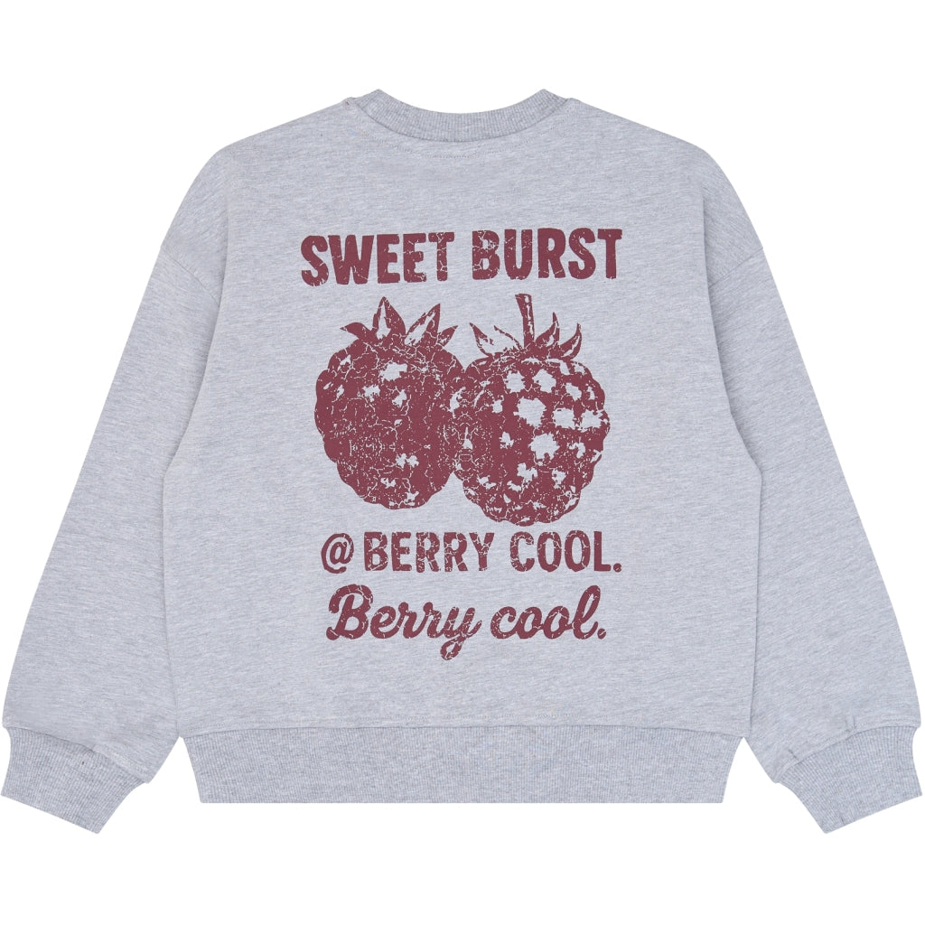 Sweatshirt, Light Grey Melange