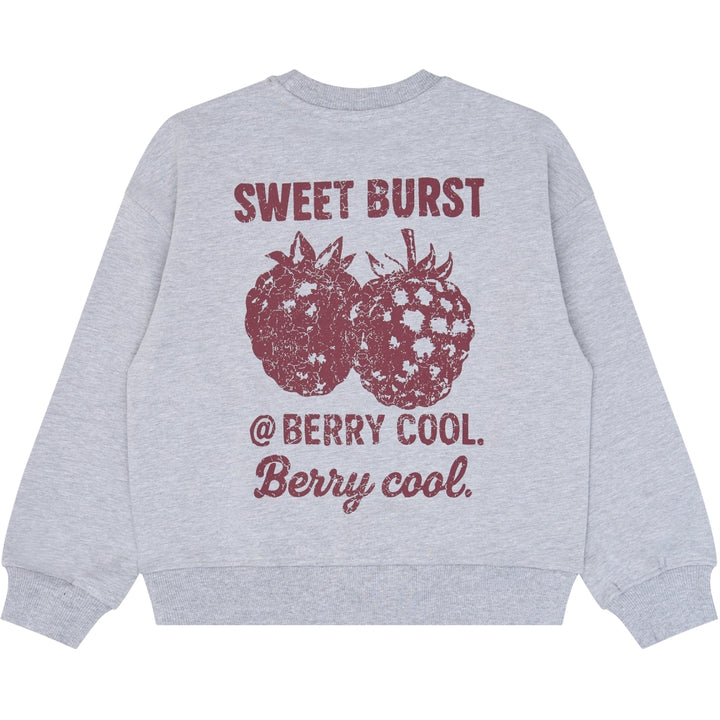 Sweatshirt, Light Grey Melange