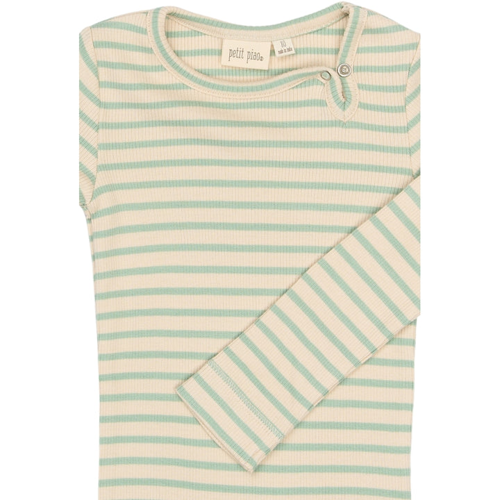 Body, Frosty Green Striped
