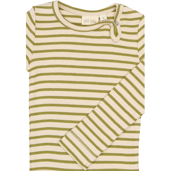 Body, Mosstone Striped