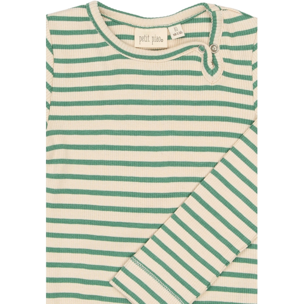 Body, Frosty Spruce Striped