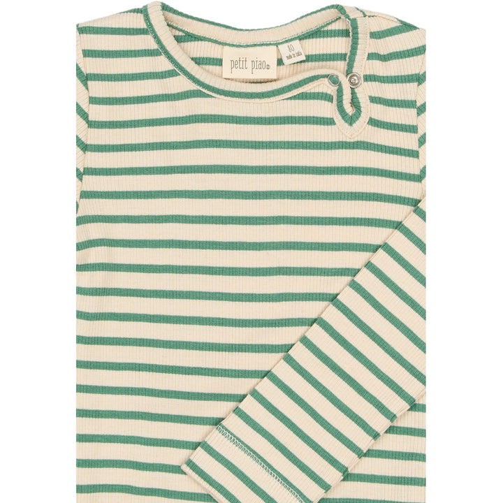 Body, Frosty Spruce Striped