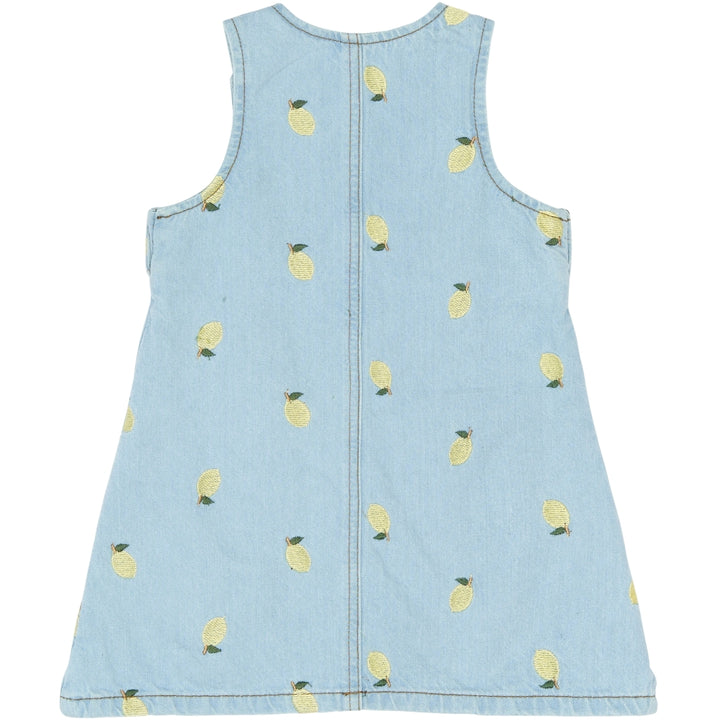 Saja Denim Dress
