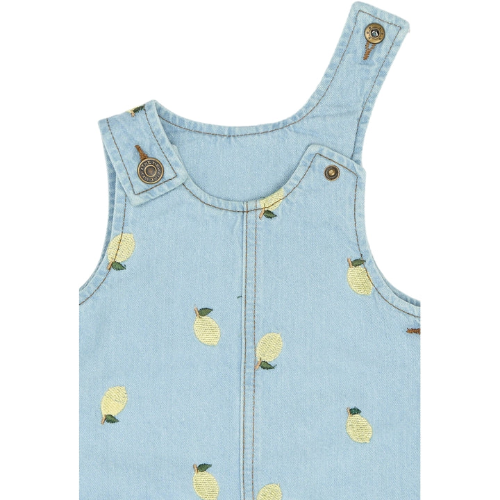 Saja Denim Dress