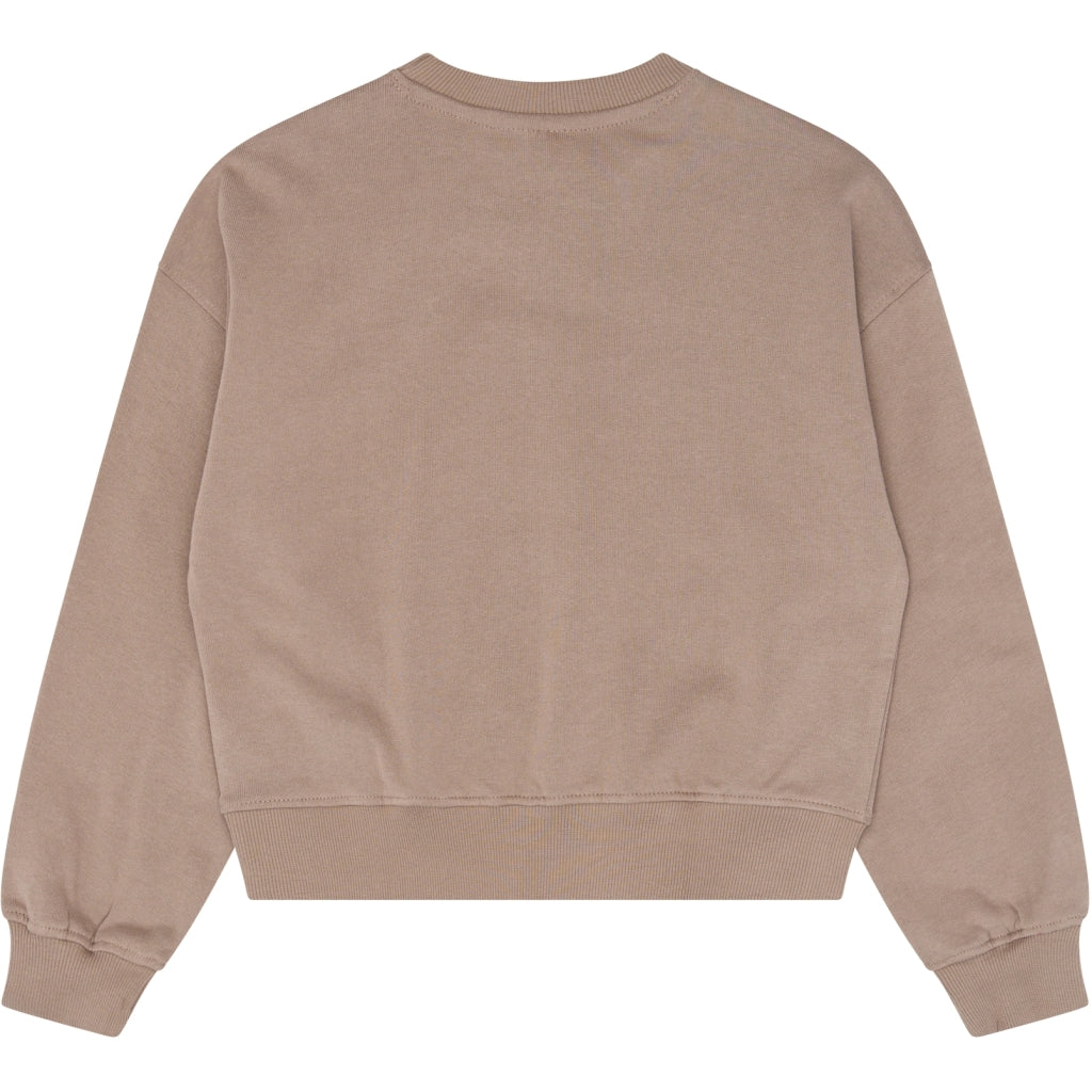Sweatshirt, Taupe Gray