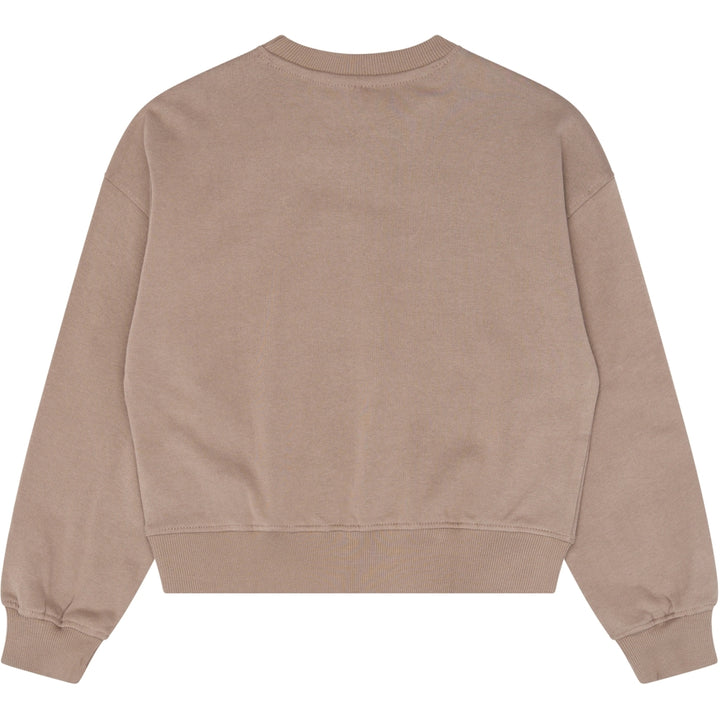 Sweatshirt, Taupe Gray