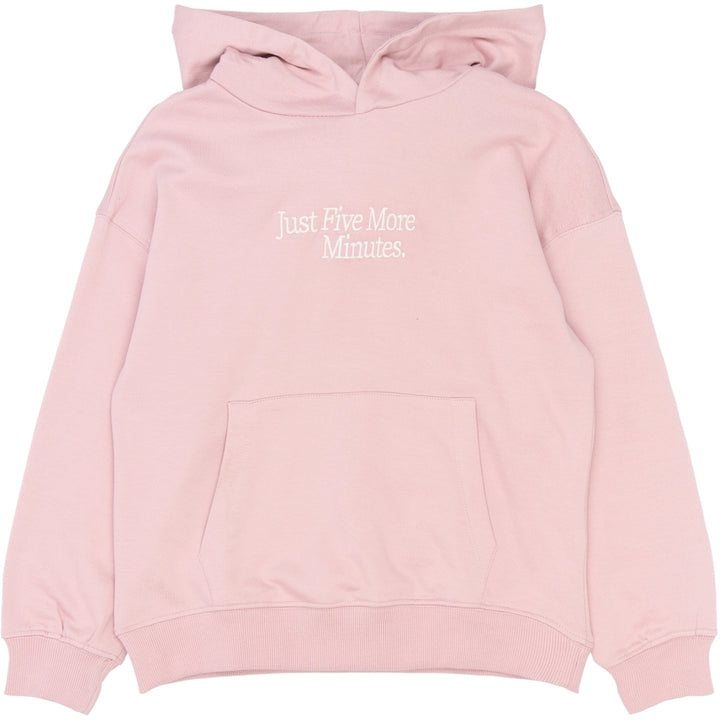 Hoodie, Silver Pink