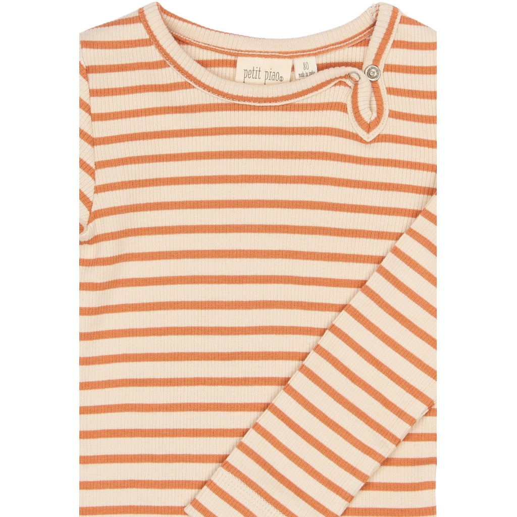Body, Coral Gold Striped
