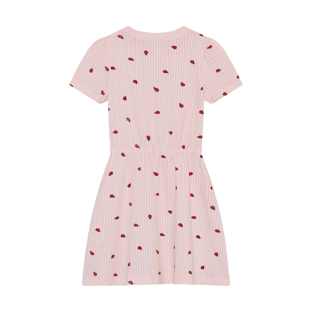 Kjóli, Peach Blush