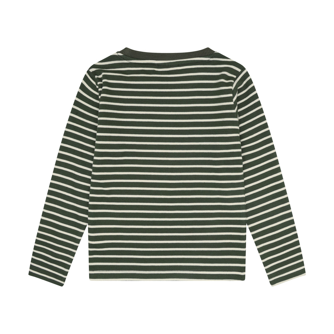 Blusa, Beetle