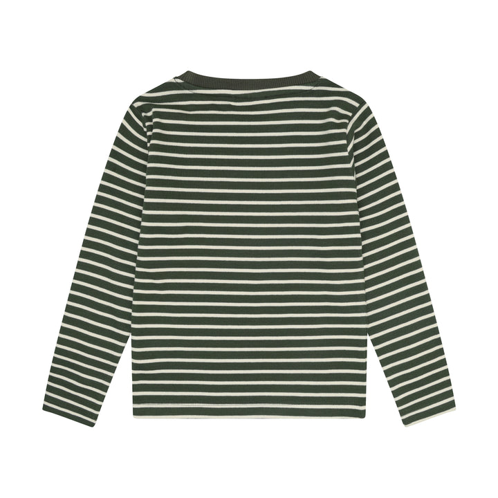 Blusa, Beetle
