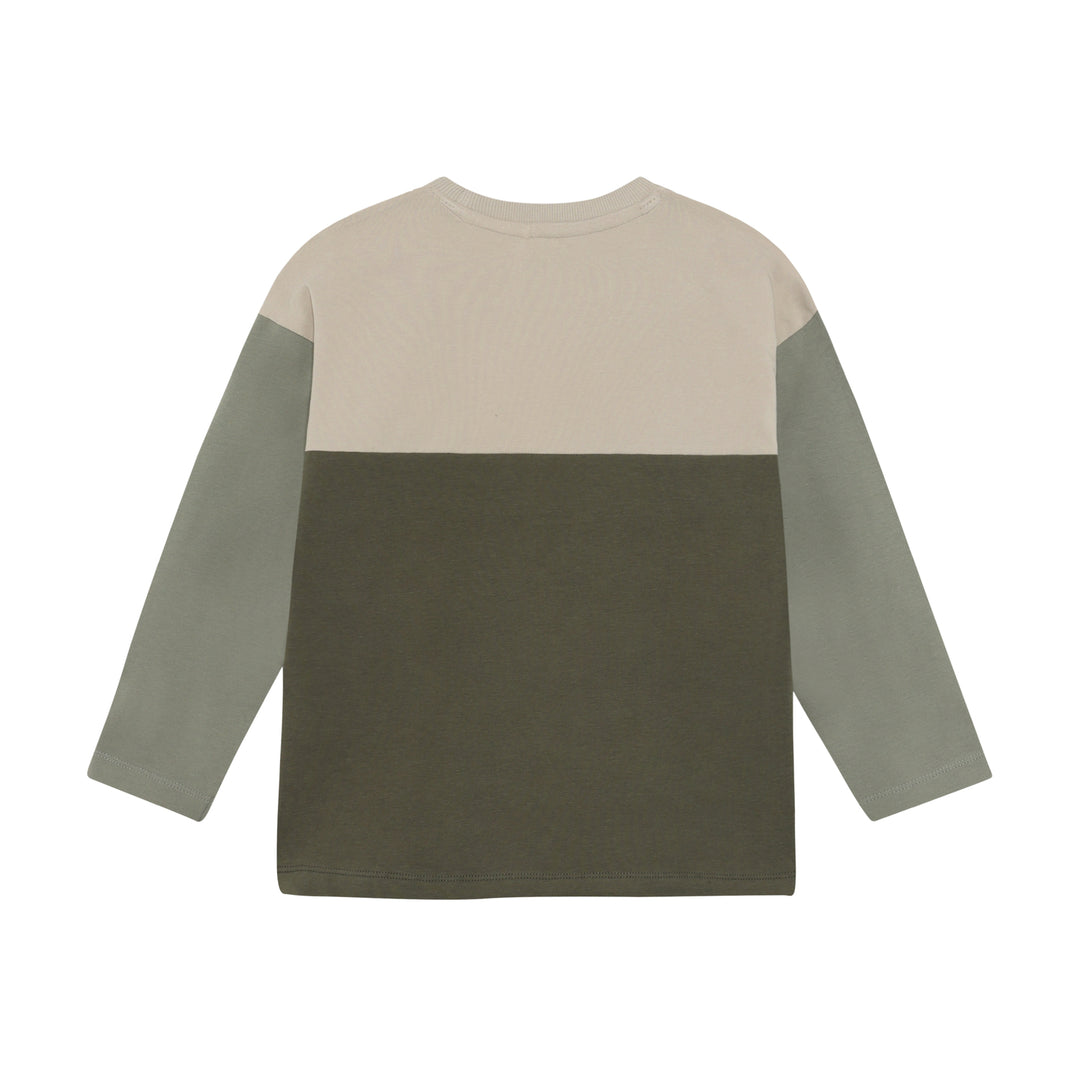 Blusa, Beetle