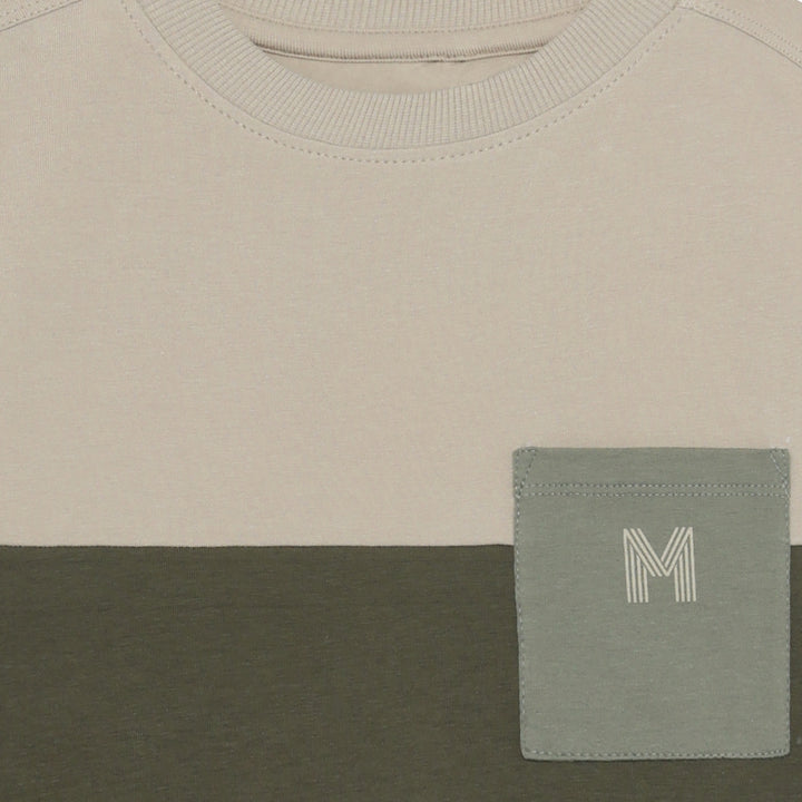 Blusa, Beetle