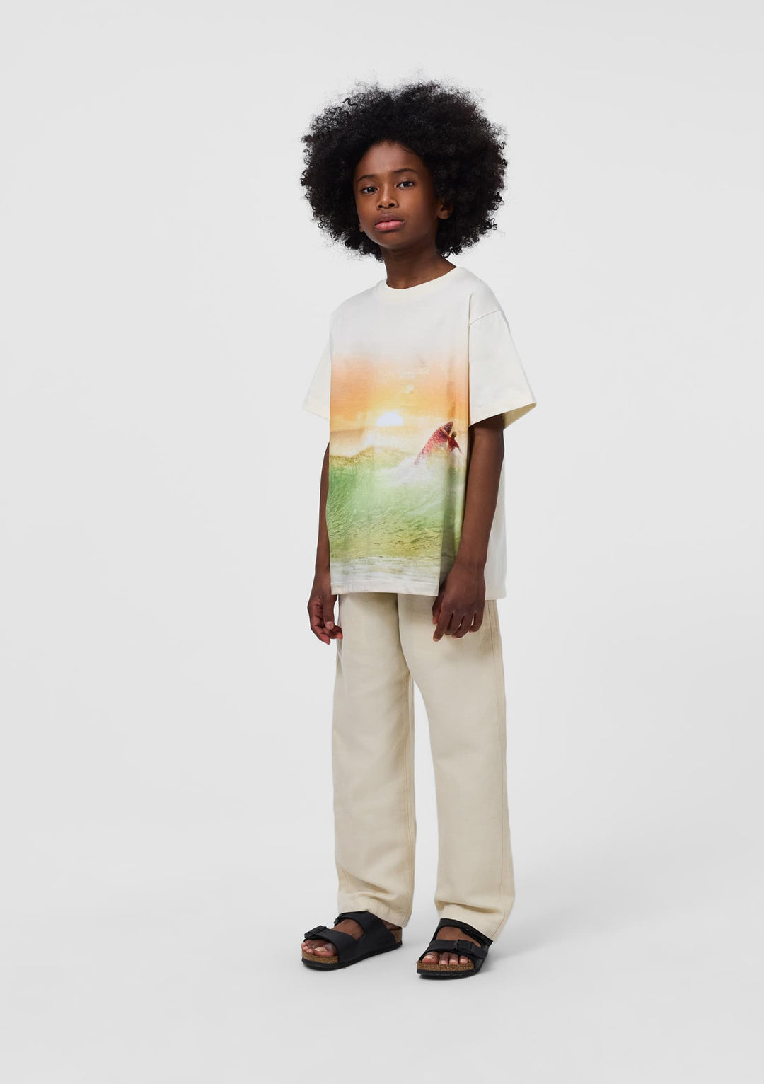 Aster, Summer Sand