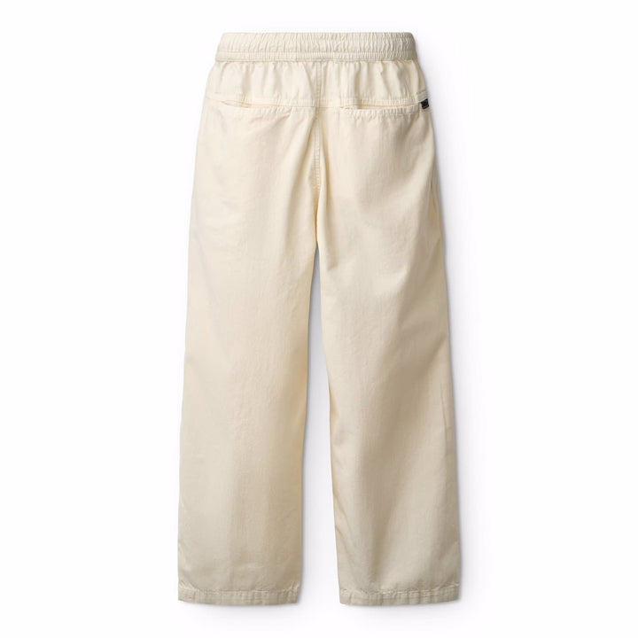Aster, Summer Sand