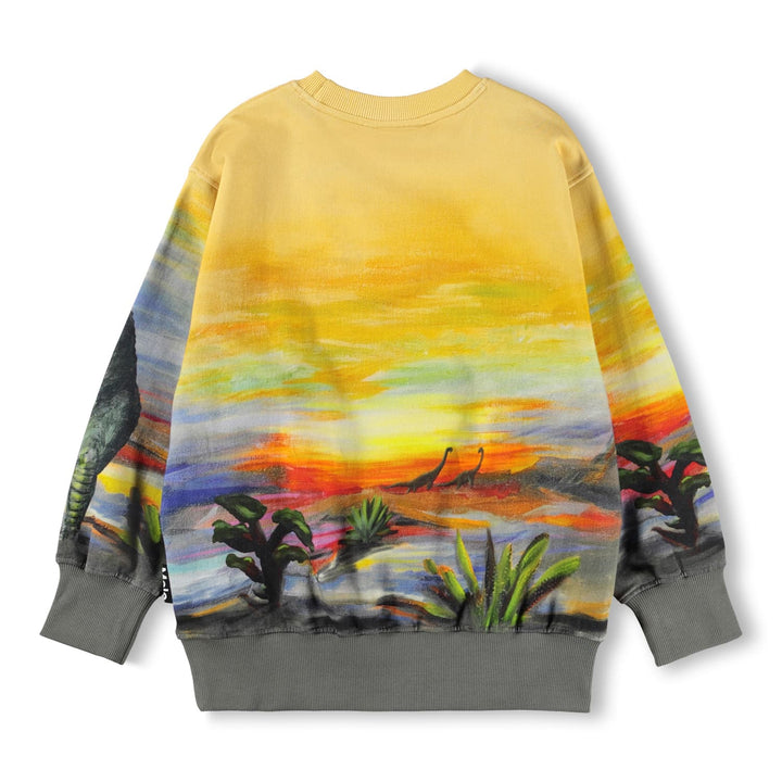 Sweatshirt, Dino Art