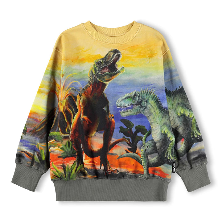 Sweatshirt, Dino Art