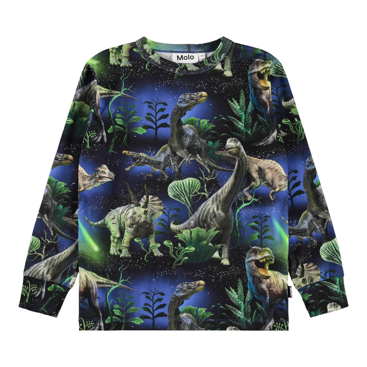 Blusa Dinorama