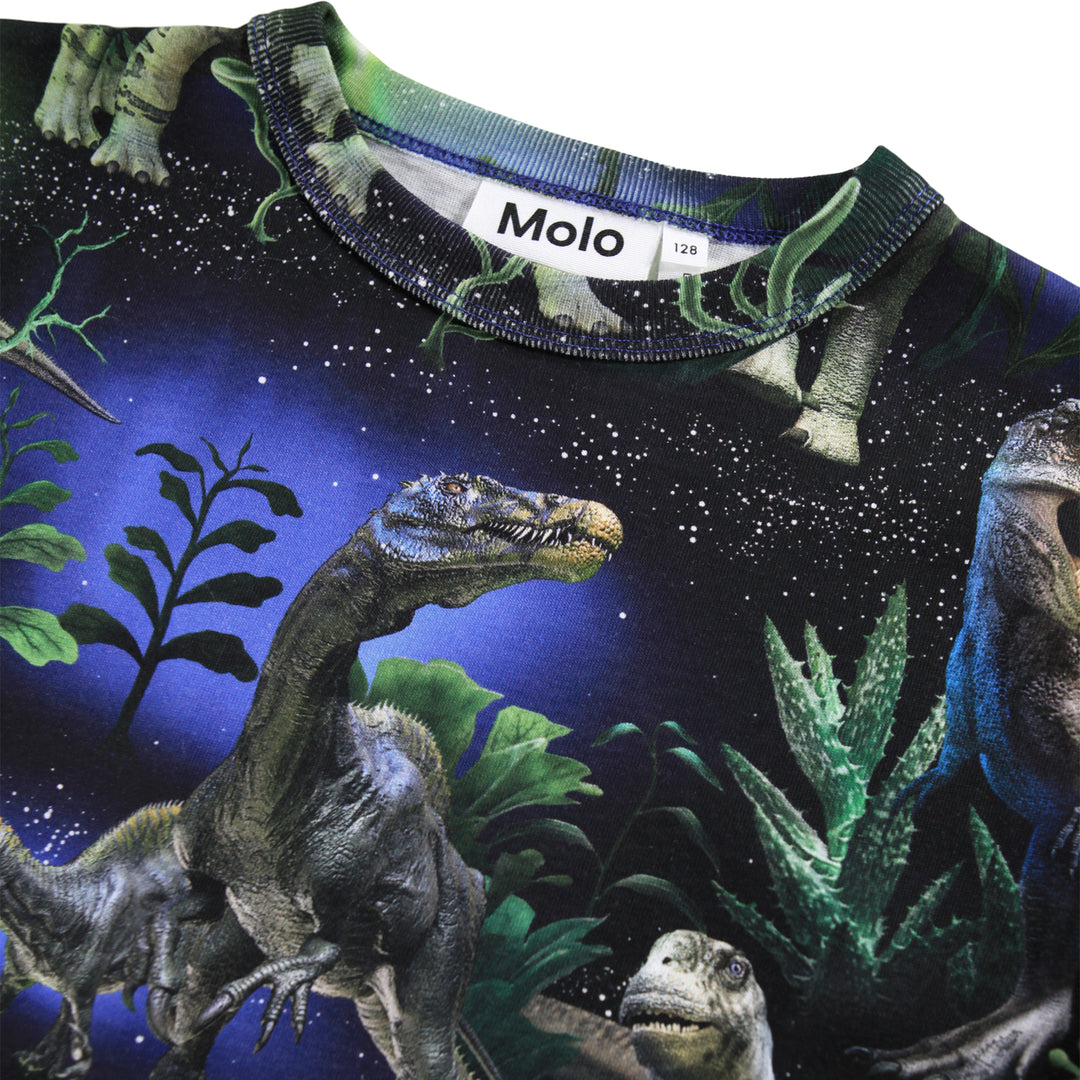 Blusa Dinorama