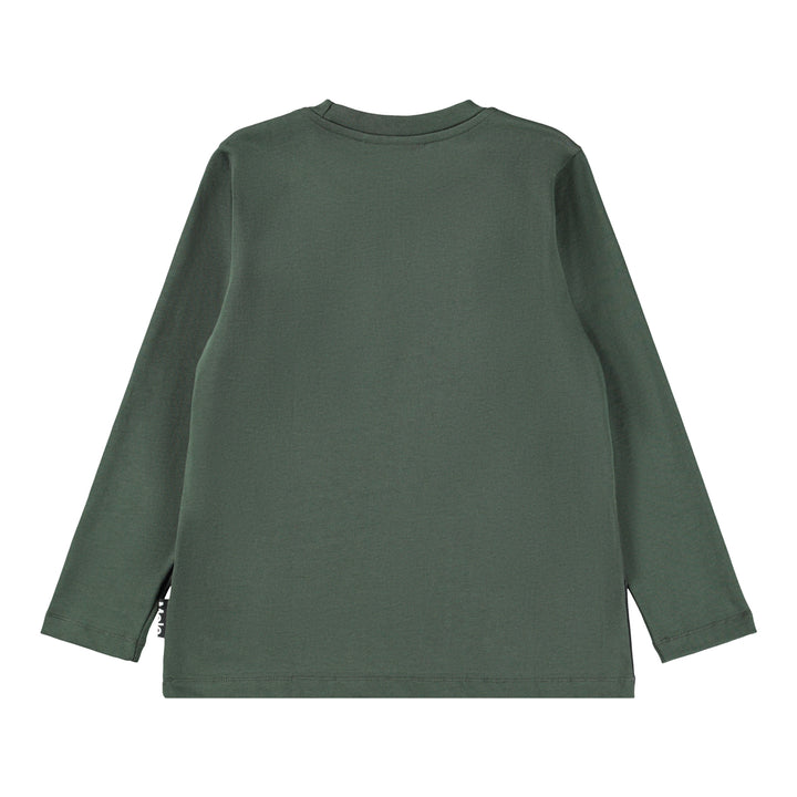 Blusa, Bears in Cave