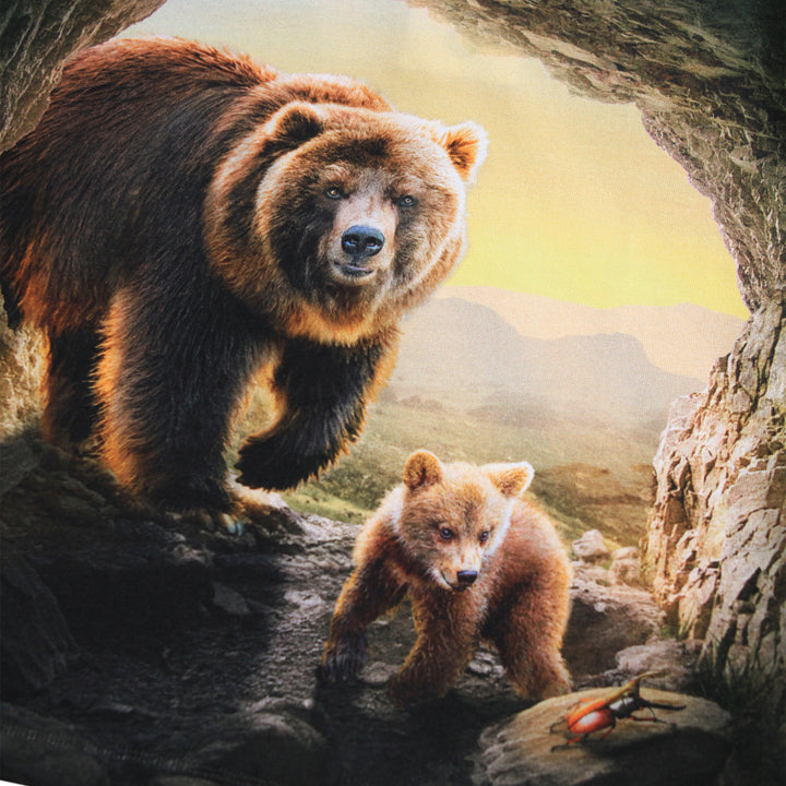 Blusa, Bears in Cave