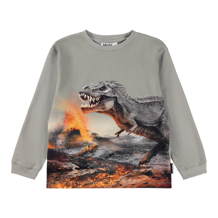 Sweatshirt, Dinosaur Fog