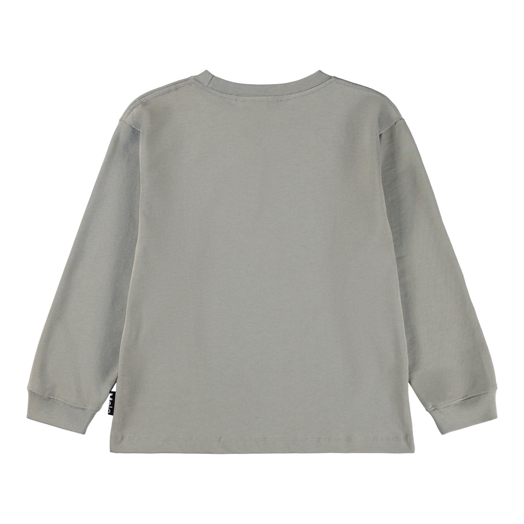 Sweatshirt, Dinosaur Fog