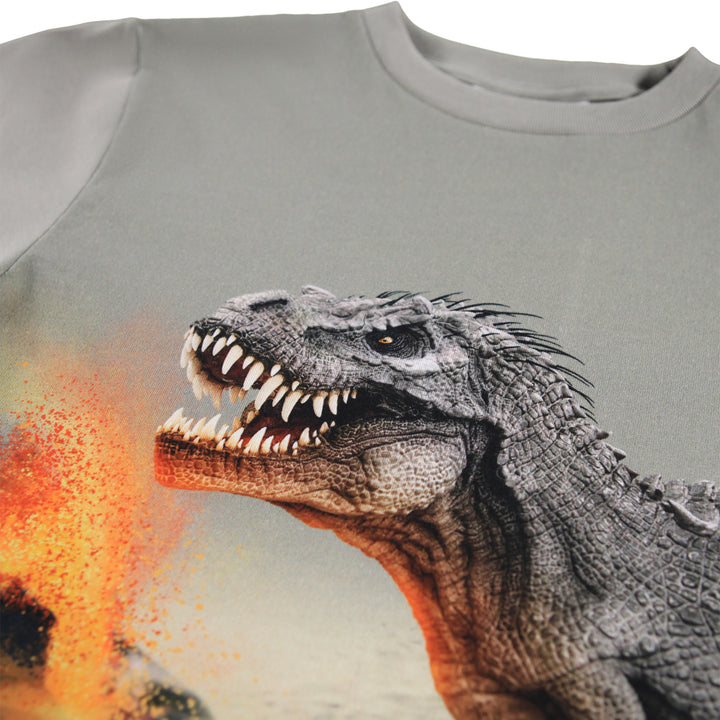 Sweatshirt, Dinosaur Fog