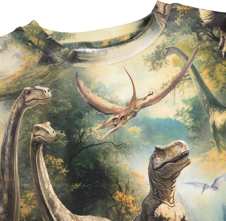 T-shirt, Dino Harmony