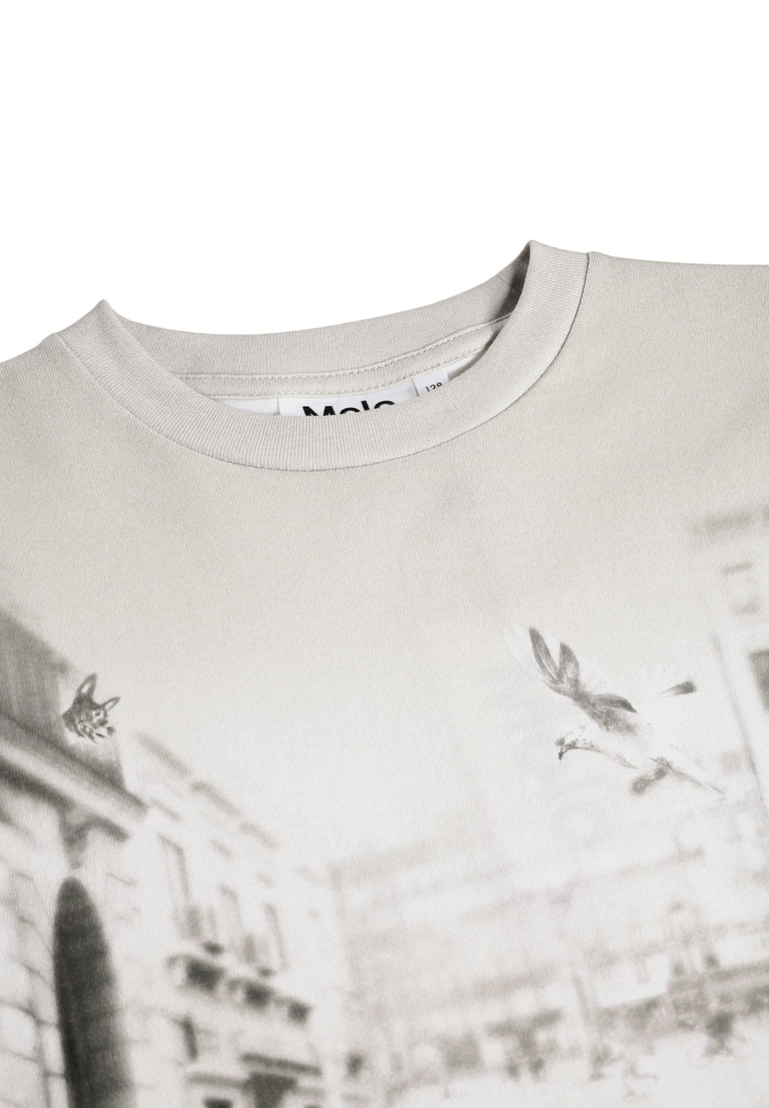 T-shirt, CurioCity Dogs