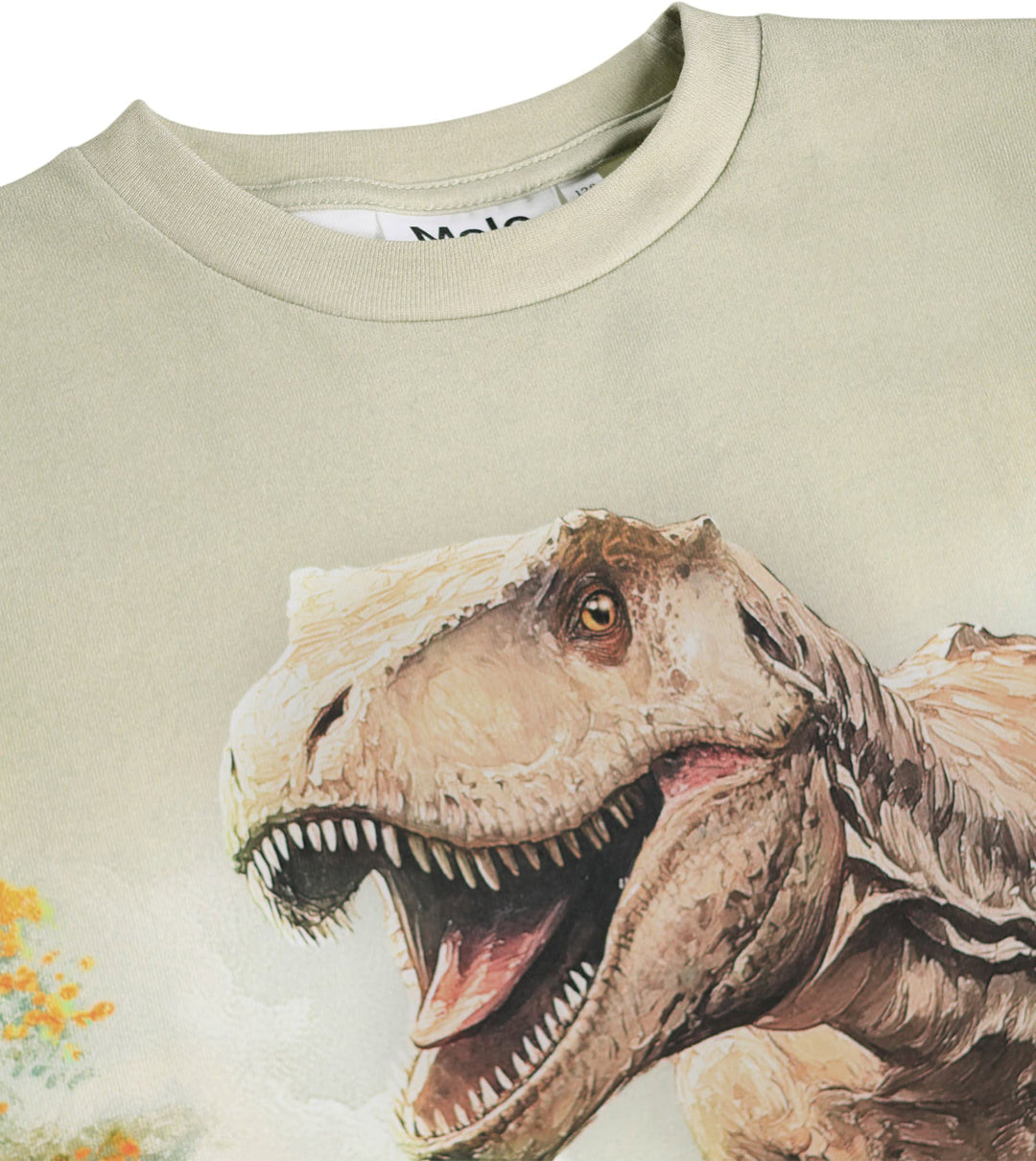 T-shirt, Leafy Rex