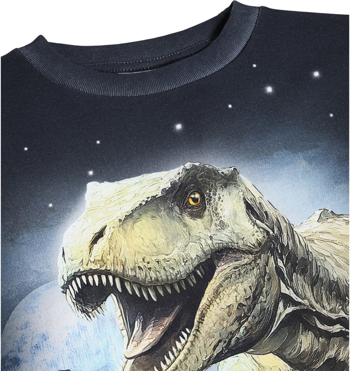 Blusa, Moonlight Rex