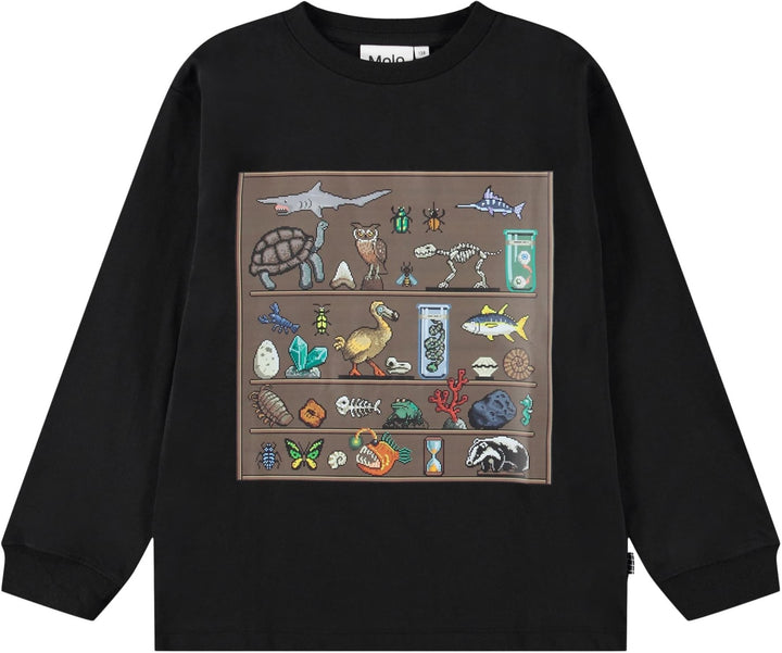Blusa, Pixellection