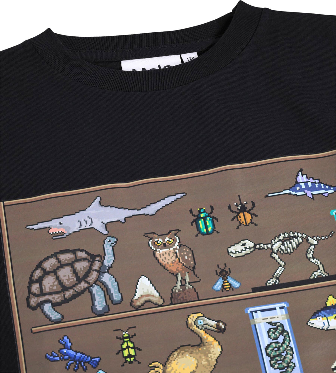 Blusa, Pixellection